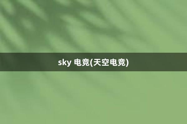 sky 电竞(天空电竞)